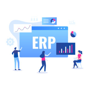 ERP application development services